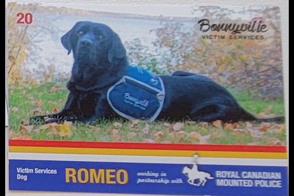 Romeo, the current Bonnyville RCMP Victim Services Unit service dog, is part of this year's Cop Cards.