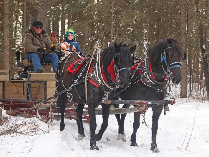 Hundreds of residents made their way to Tellier&#8217;s farm on Saturday to take part in La Cabane a Sucre du Nord.