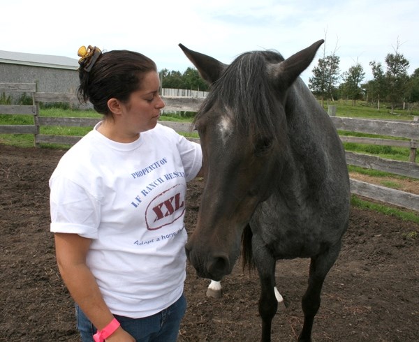 LF Horse Rescue owner Isabelle Lessard greets rescue horse Blue at the society&#8217;s open house event on Saturday.