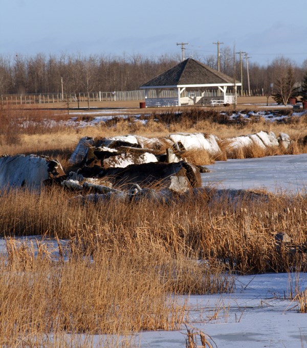 A thaw in November may be responsible for an ice buildup on Upper Therien Lake visible from Lagasse Park last week.