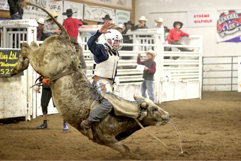 Cole Young attempts to tame Trach Rodeo&#8217;s Todd&#8217;s Gray at Bull-A-Rama 2013 at the St. Paul Ag. Corral on Saturday. The event saw 30 of the rankest bulls around