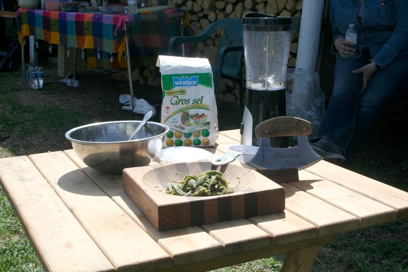 Harvest of the Forest, a workshop focused on foraging for wild edibles, showcased preparation of food, including the grinding and blending of spruce tip into spruce tip salt.