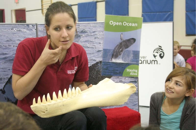 Lydia Gibson from the AquaVan program showing Ms. Jackie Routhier&#8217;s fourth graders the jawbone from a killer whale in the Central Elementary gym last Tuesday.