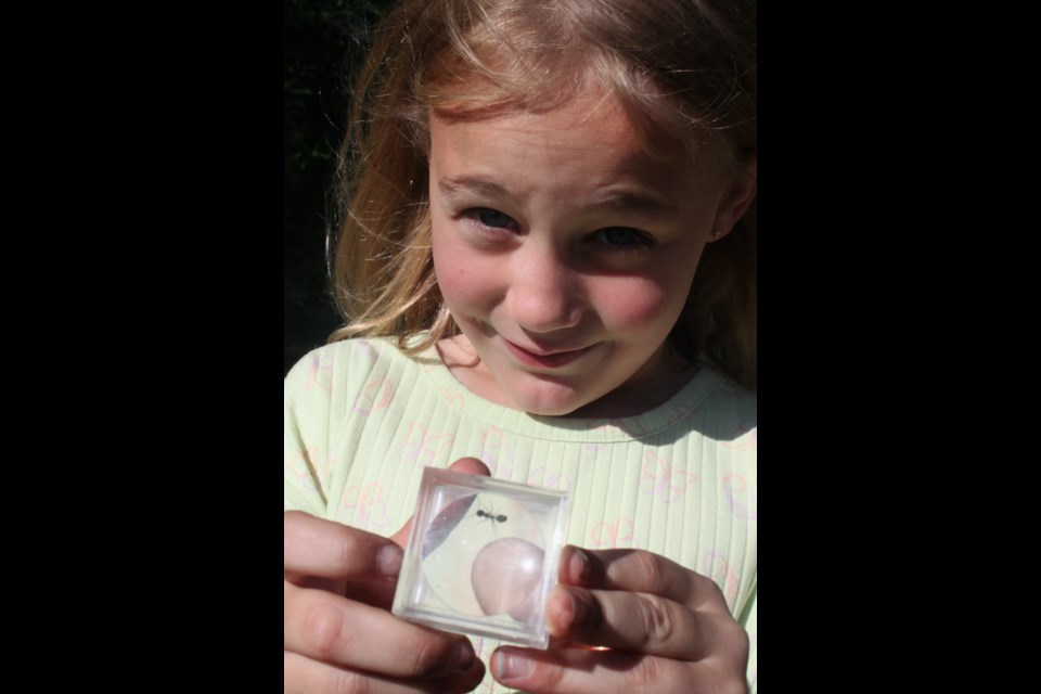 Kinsley Neufeld smiles as she holds up an ant she caught in a small plastic container. Part of the event included kids exploring various bug species living in Sir Winston Churchill Provincial Park. 