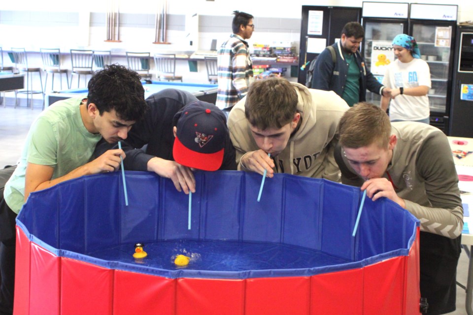 Portage College students Patrick Moreira, Tresor Wotton, Matteo Scipione, and Ben Kenny participate in a duck race with rubber ducks in a pool during the college's third annual What the Duck is going on ?!?’ event, which took place at the Portage College Lac La Biche campus on Feb. 14. Chris McGarry photo. 
