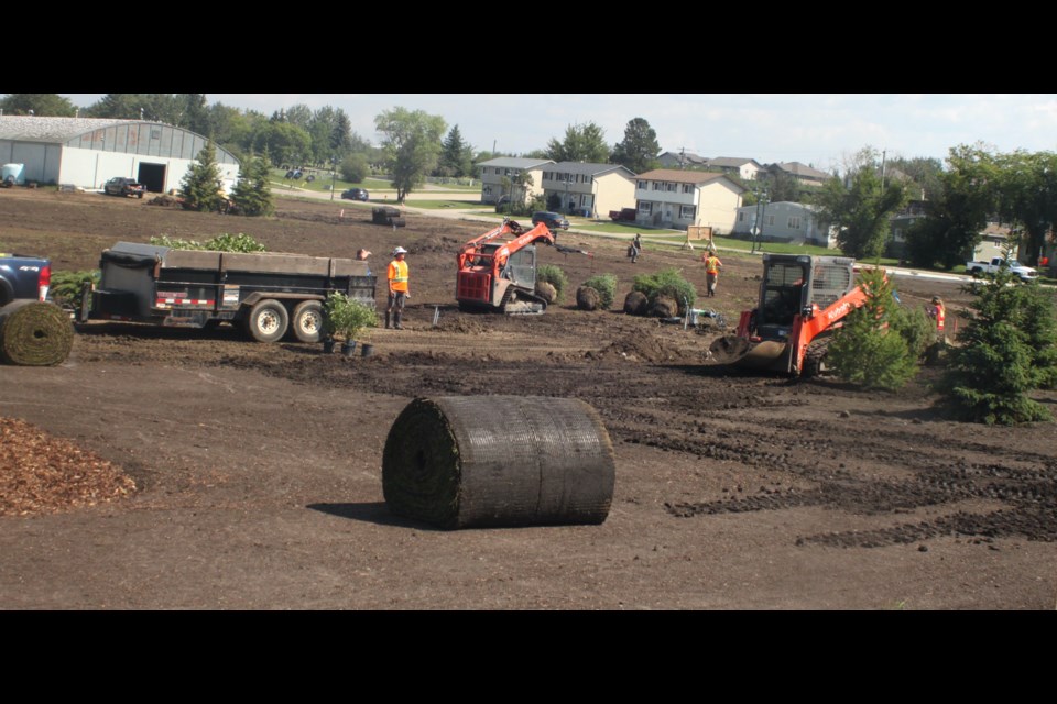 Construction crews plant trees and shrubbery as part of the McArthur Park Revitalization project. Chris McGarry photo. 