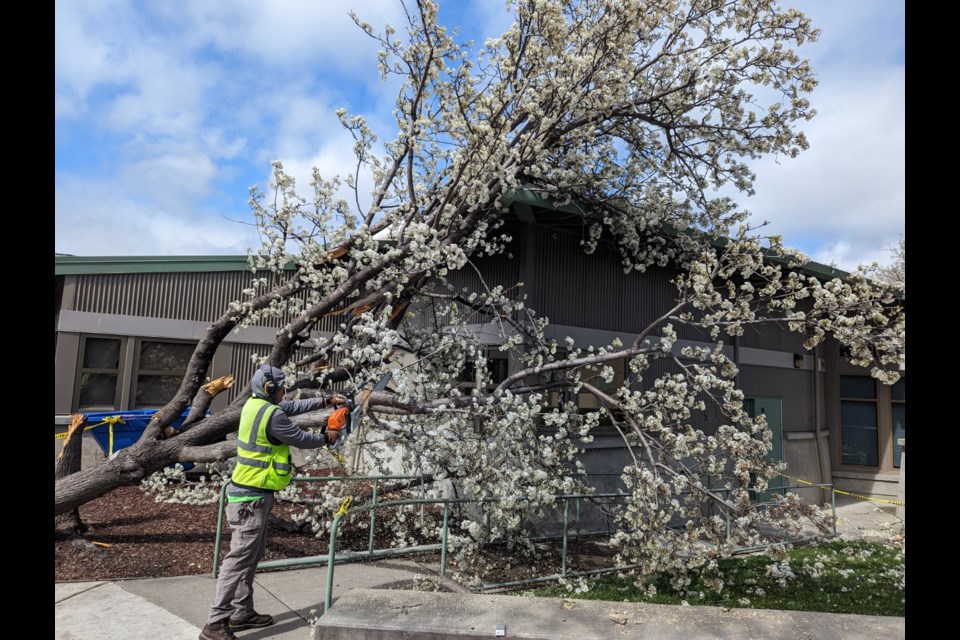 What a Week: Lights out in Danville - Livermore Vine