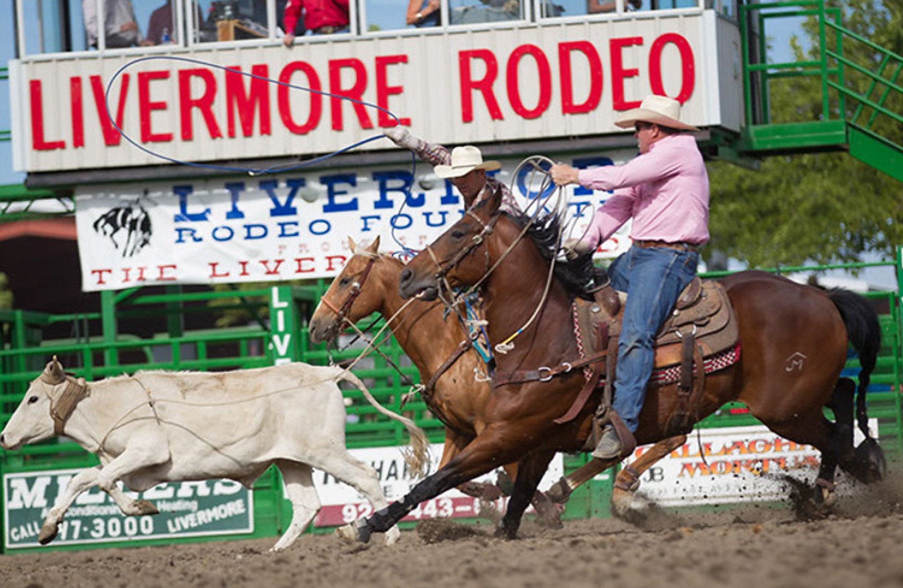 Back in the saddle again Livermore Rodeo returns this weekend