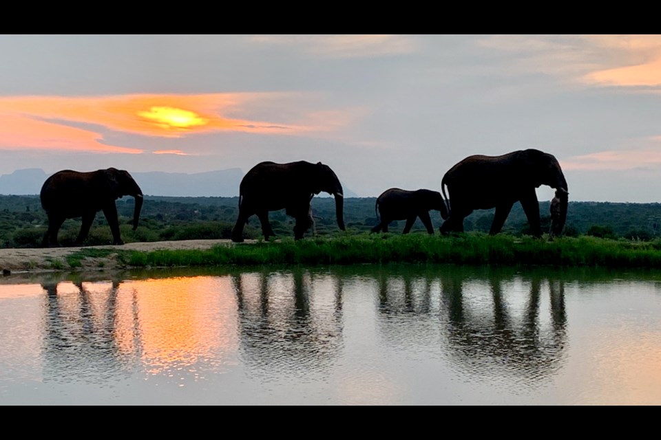 Scenes from South Africa