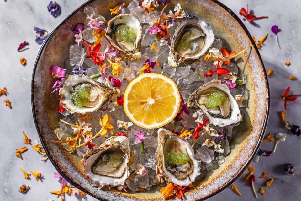 oysters-tommy-bahama-restaurant-bar-valentines-day-2025