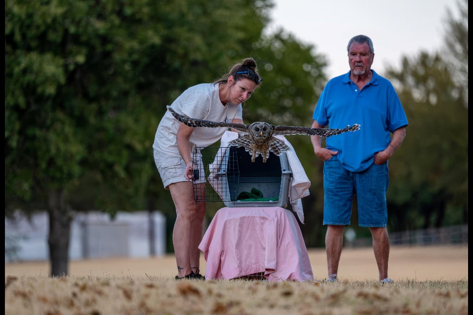 Photo: Blackland Prairie Raptor Center