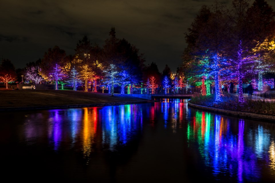 vitruvian-lights-2020-tree-lighting-112720-bret-redman-3926