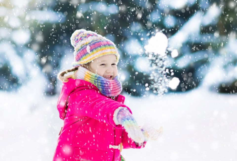 famveld_snowball-fight_shutterstock_741117034