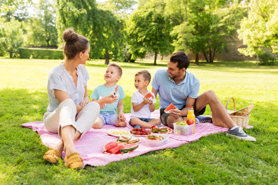 ground-picture_picnic-in-the-park_shutterstock_1446093992