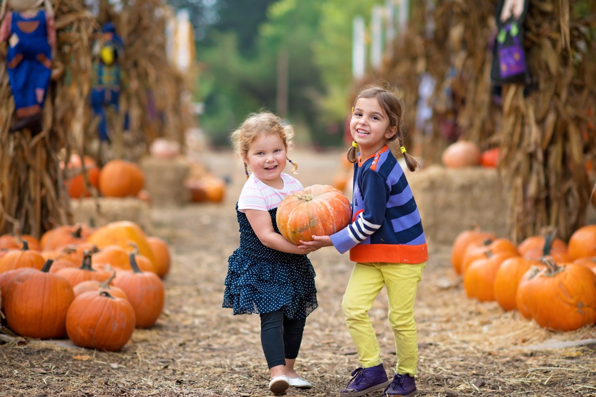 where-to-visit-pumpkin-patches-in-north-texas-local-profile