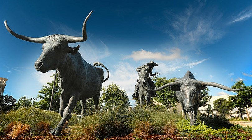 longhorn cattle statues, Plano Texas