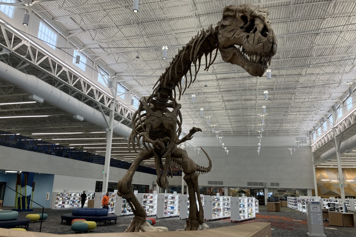 Rawr!' 20-foot T. rex dinosaur skeleton at Frisco Public Library