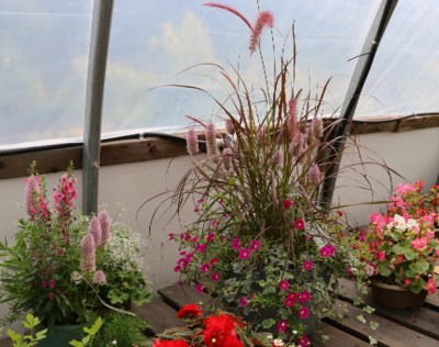 bloom_containers-2