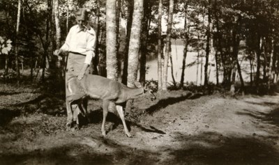 Smokey the deer getting attention. She loved cigarettes