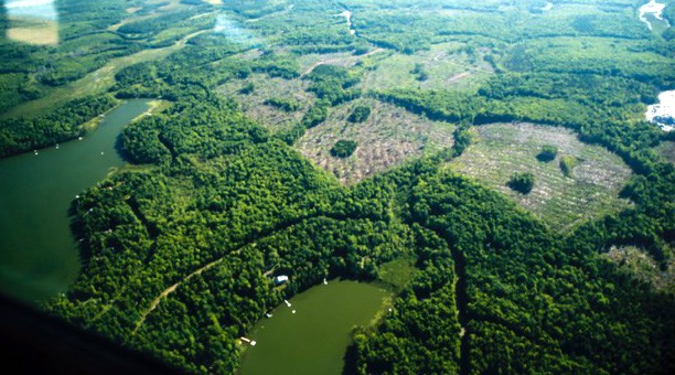 The blue-green algae blooms are moved by wind on the lake surface, so only area where the algae is visible is of concern to visitors.