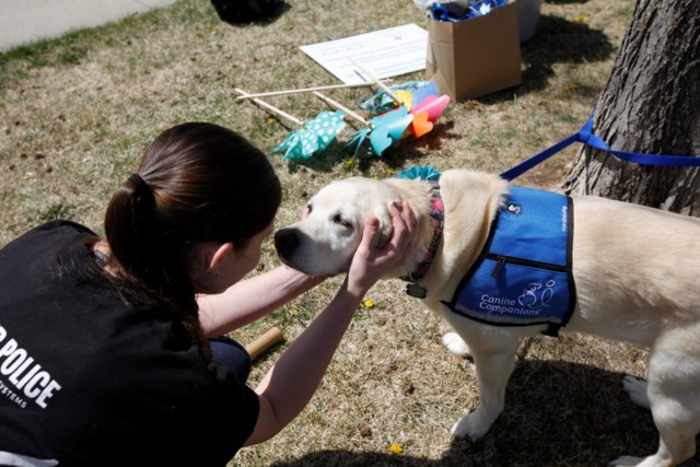 Marion the therapy dog gets pets while community members plant pinwheels. Amy Golden