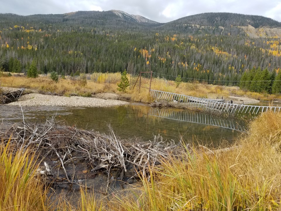 Holzwarth Historic Site with external beaver dam Courtesy Rocky Mountain National Park