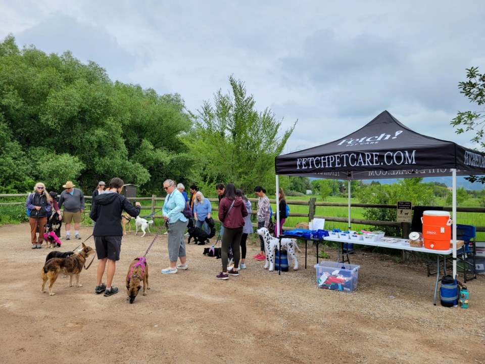 1st-big-boulder-dog-walk-5