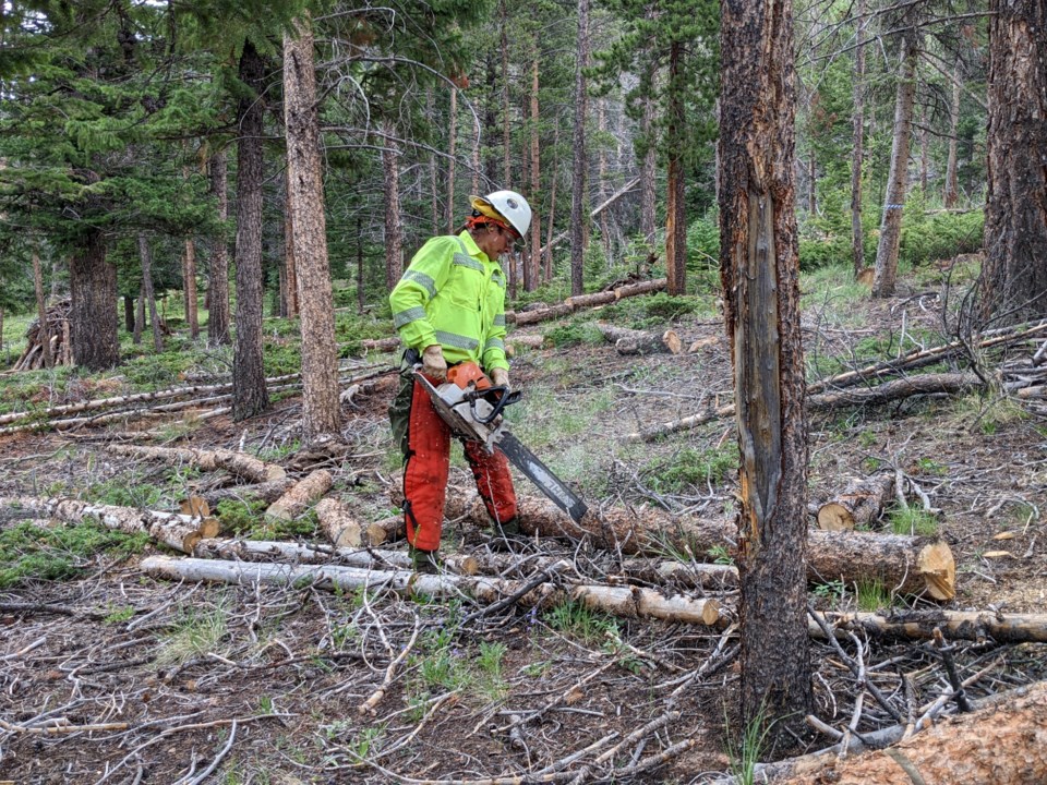 courtesy-rocky-mountain-national-park_nps-firefighter-is-cutting-a-log-as-part-of-a-hazard-fuels-project