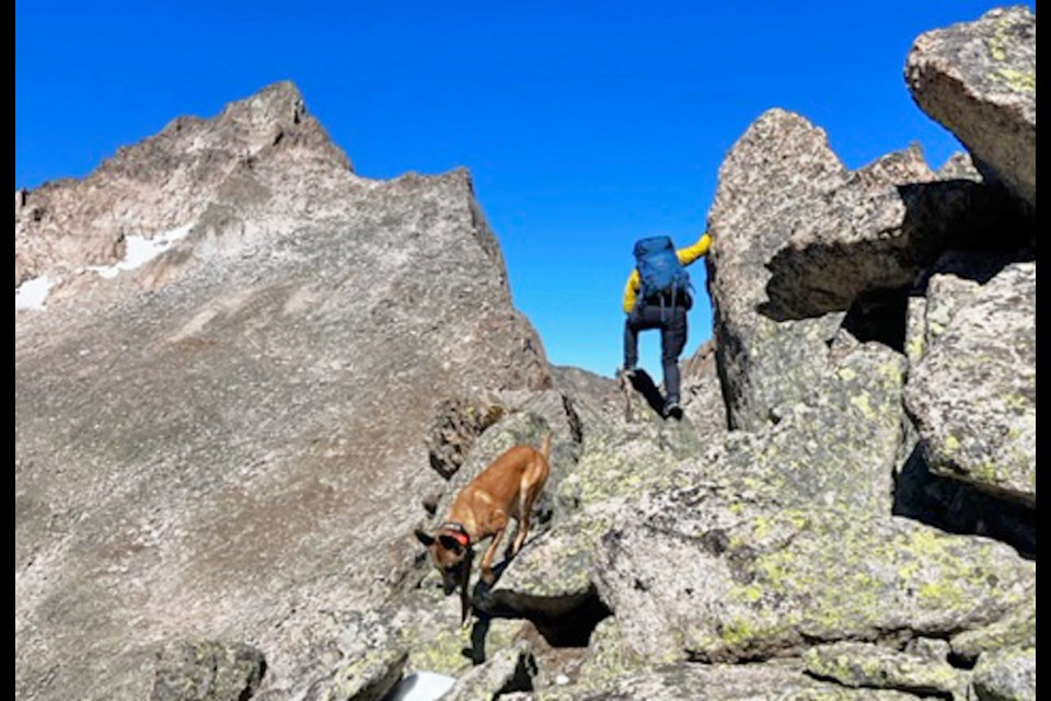 Search continues for Chad Pallansch who was last seen in Rocky Mountain National Park on Sept. 27, 2023