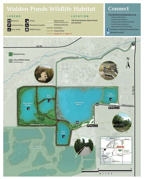 walden-ponds-wildlife-habitat