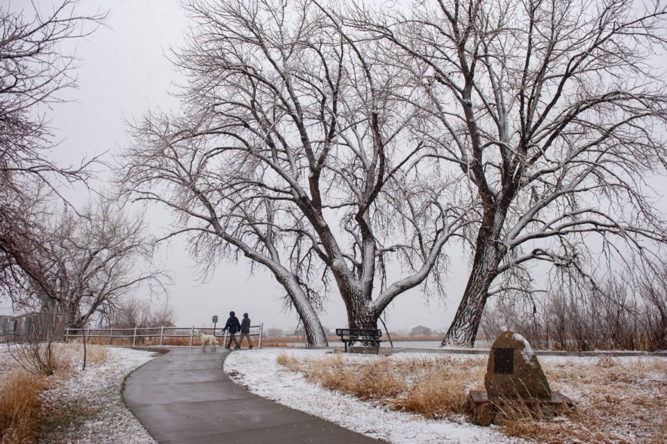 A couple walks their dog as snow falls at the Jim Hamm Nature Area in east Longmont on Saturday, March 13, 2021. 