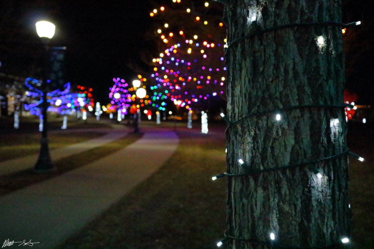 Morning Brief Longmont Lights and Holiday Parade The Longmont Leader