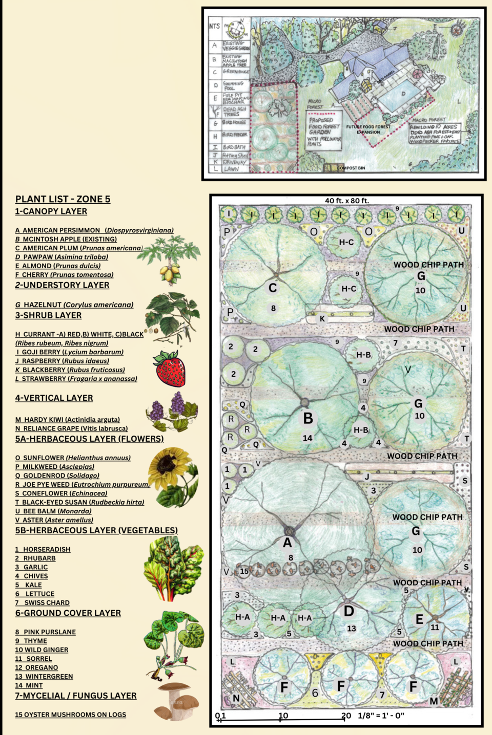 _food-f1oresat-sketch