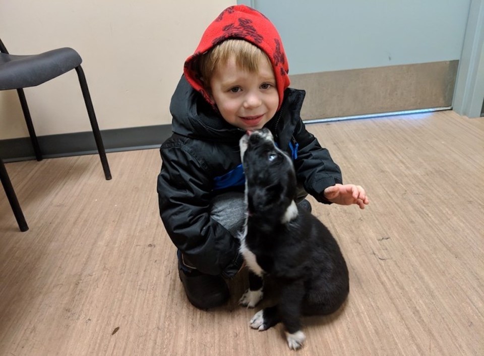 2019 iAdopt - Cutest Adopted Pet Contest winner