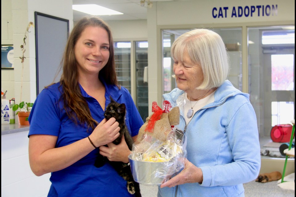 victorian-christmas-gift-and-craft-show-is-the-cat-s-meow-for-ospca