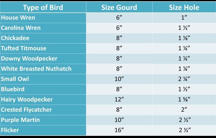 bird-chart