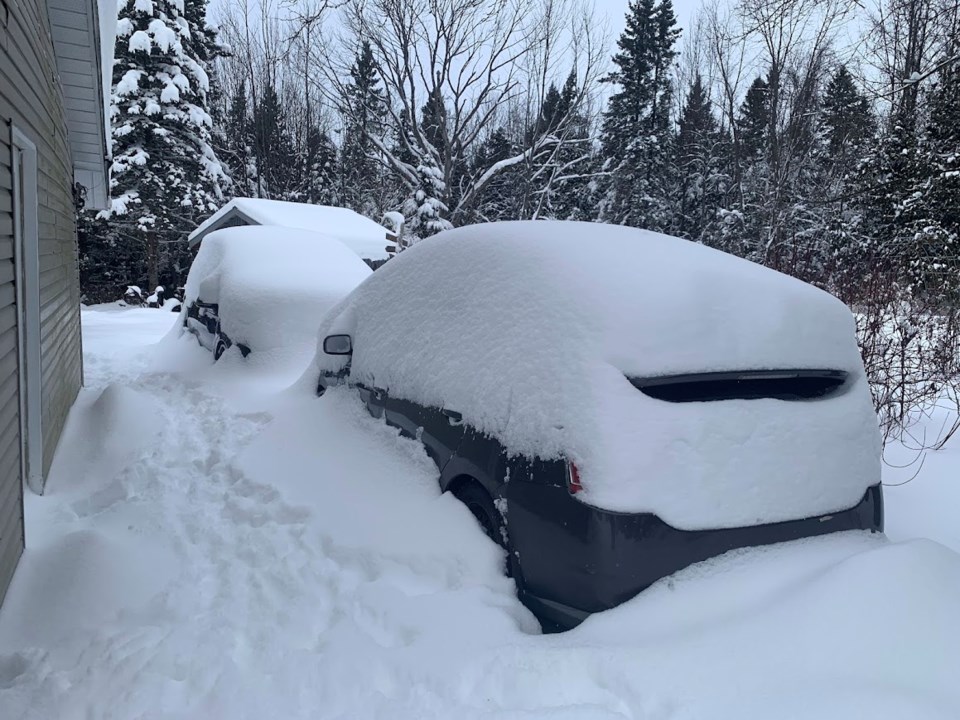 snowed-in-cars