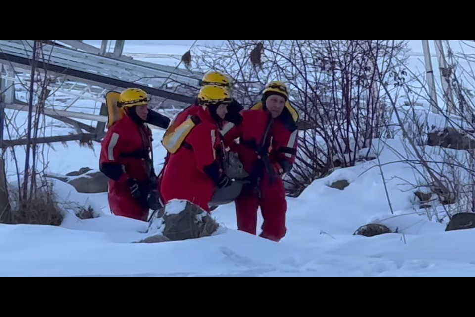 Firefighters rescued deer from frigid Georgian Bay waters Sunday.