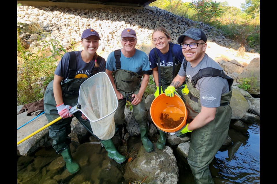 Staff and volunteers from the Severn Sound Environmental Association and the Ontario Federation of Anglers and Hunters survey a local stream for invasive crayfish.