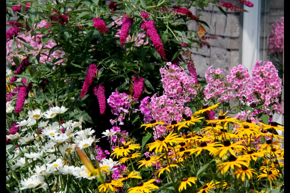 The Georgian Bay Garden Tour is being held this Saturday from 9 a.m. to 4 p.m. 