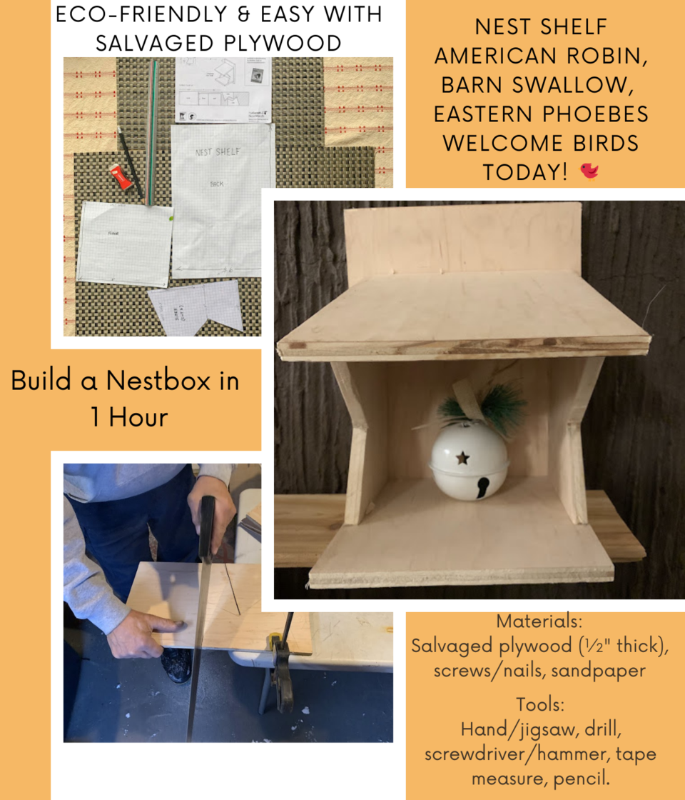 20241227-_nest-box