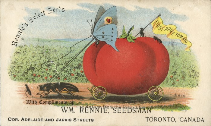 20250123-canadian-seeds