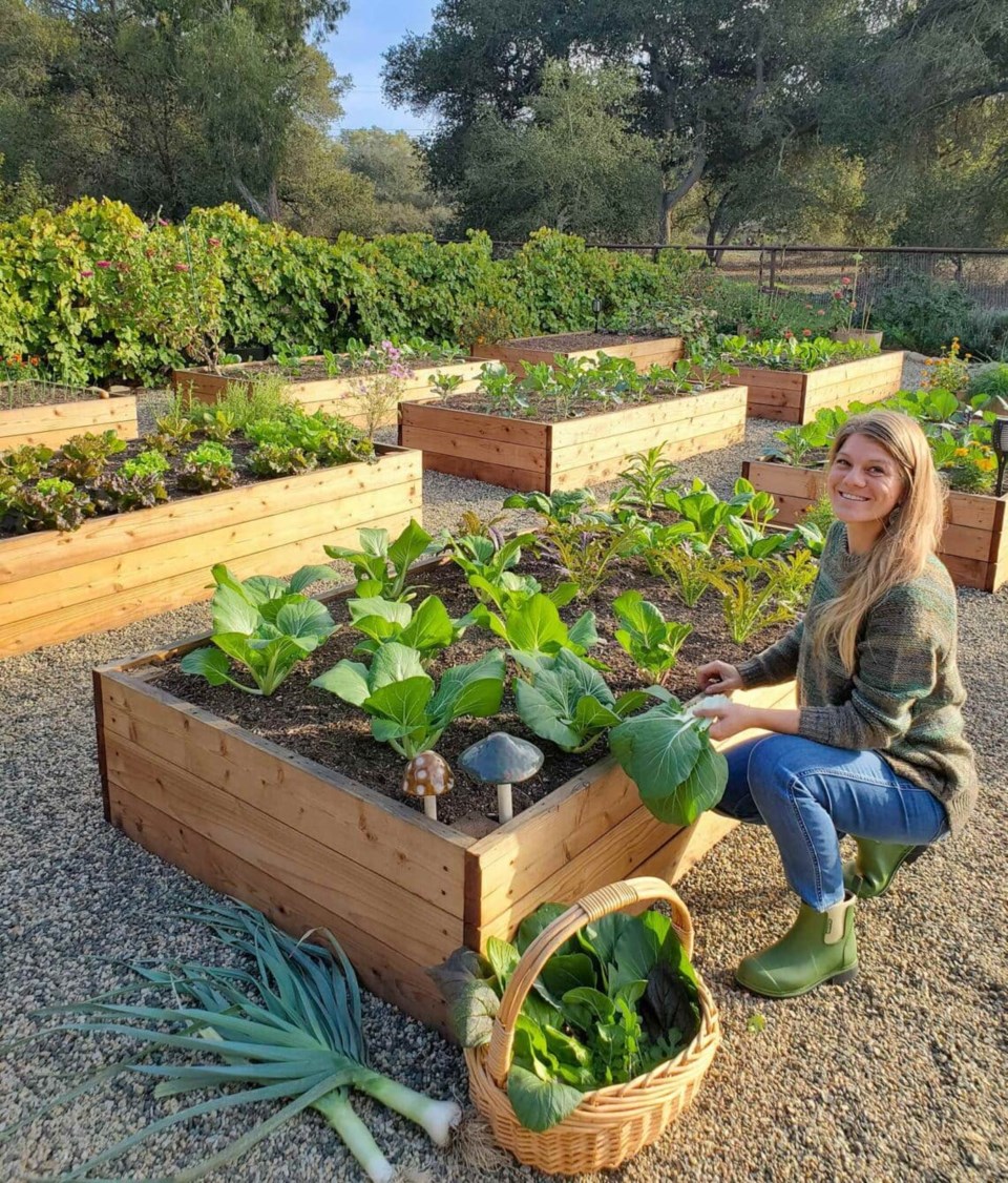 20250123-how-to-build-raised-garden-beds-planter-boxes-homestead-chill-deannacat-1140x1337