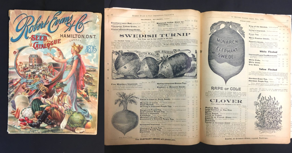 20250123-vintage-seed-catalog-atlas-obscura