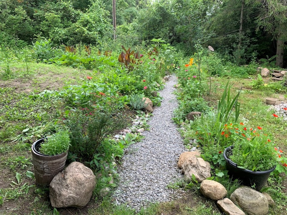 my-rain-garden