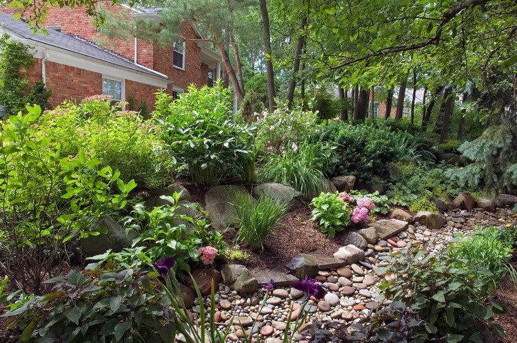 rain-garden-rocks-and-plants-ed331a6b-aeb768acecdf44c7a834ee325d6de1a4