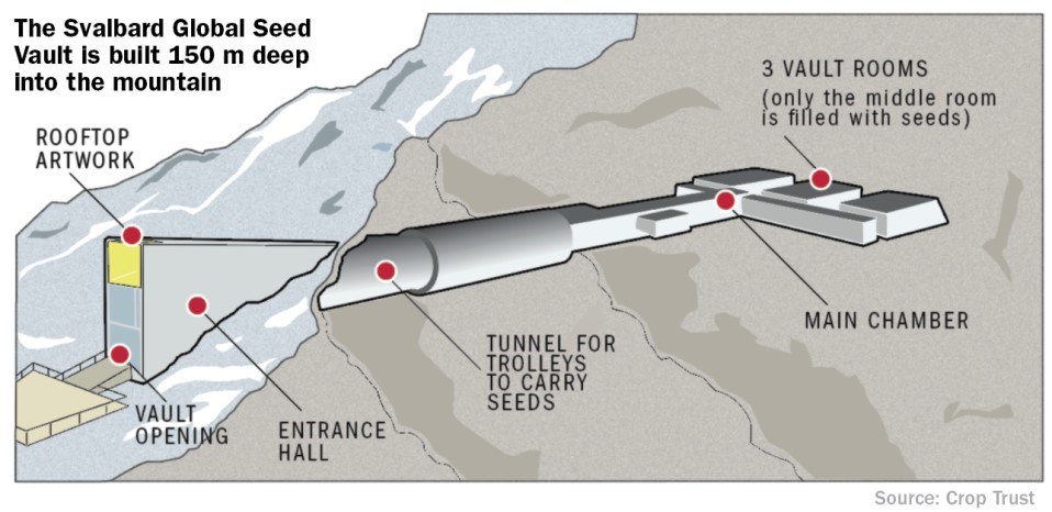 svalbard-seed-vault-diagram1