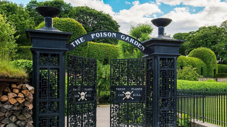 the-poison-garden-at-alnwick