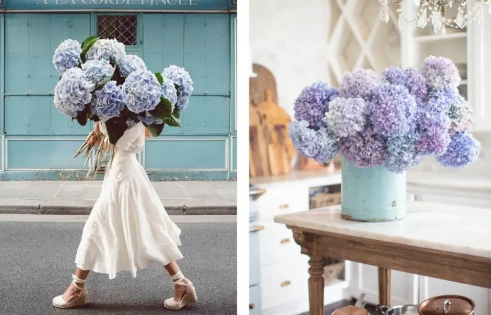 woman-with-hydrangeas