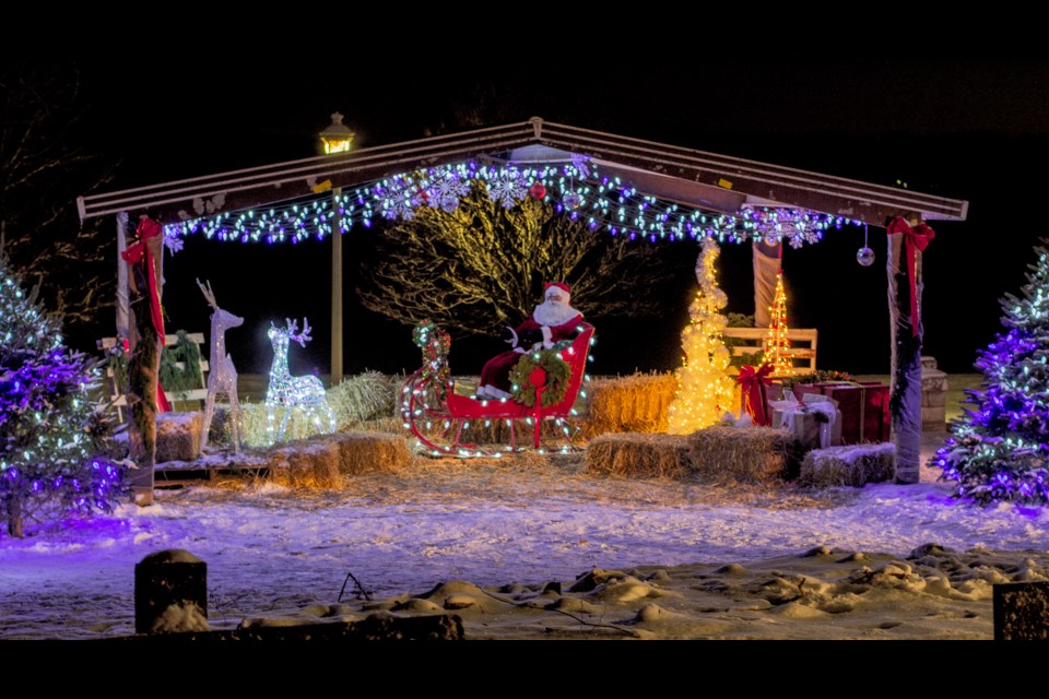 Little Lake Park holiday display at night.